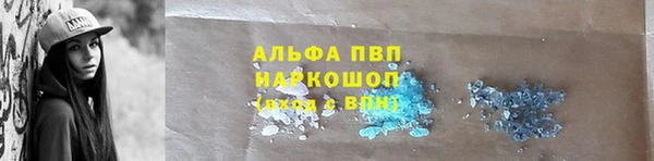 СК Абаза