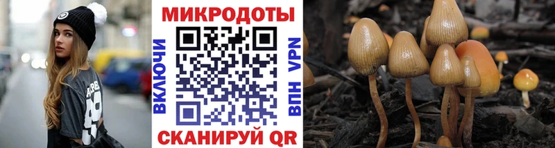 Галлюциногенные грибы Cubensis  Жердевка 